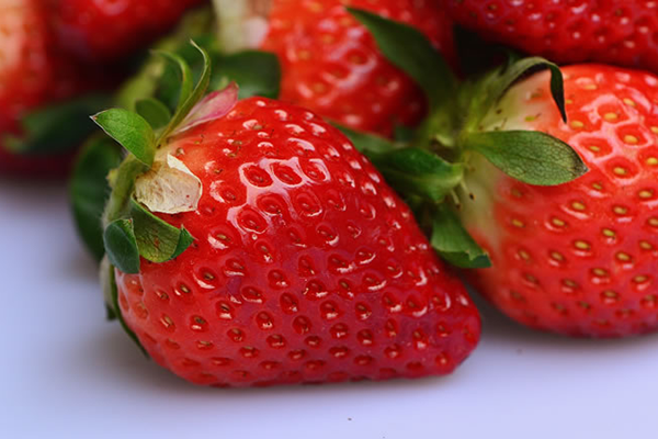 Erdbeeren selber pfluücken